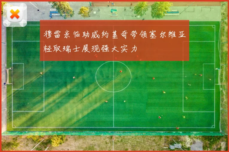 穆雷亲临助威约基奇带领塞尔维亚轻取瑞士展现强大实力